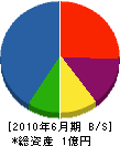 大隅芝園 貸借対照表 2010年6月期