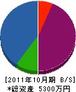 神谷電気商会 貸借対照表 2011年10月期