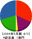 藤原工業所 貸借対照表 2009年5月期