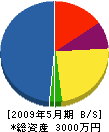 川井造園土木 貸借対照表 2009年5月期