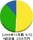 三幸建設 貸借対照表 2009年12月期