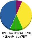 合川塗装 貸借対照表 2009年12月期