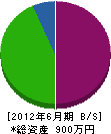渋谷管工 貸借対照表 2012年6月期
