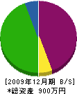 あさの造苑 貸借対照表 2009年12月期