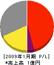 斉藤工業 損益計算書 2009年1月期