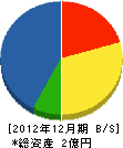 池田電気 貸借対照表 2012年12月期