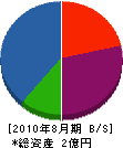 渡辺アルミ工業 貸借対照表 2010年8月期