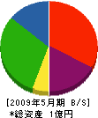青木電工 貸借対照表 2009年5月期