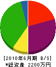 武田組 貸借対照表 2010年6月期