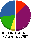 桃井造園 貸借対照表 2008年6月期