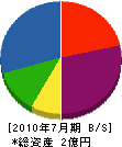 堀井建設 貸借対照表 2010年7月期