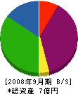 丸孝 貸借対照表 2008年9月期