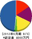 グリーントップ沖縄 貸借対照表 2012年6月期