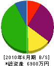 野崎工業 貸借対照表 2010年6月期