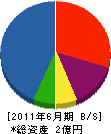 松本住宅設備 貸借対照表 2011年6月期