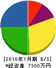 椛沢組 貸借対照表 2010年1月期