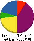 タチカワ電工 貸借対照表 2011年8月期