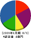 丹田工務店 貸借対照表 2009年6月期