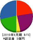 埼玉空調メンテナンス 貸借対照表 2010年6月期