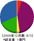 山謙開発 貸借対照表 2009年12月期