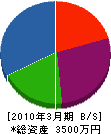 沼崎電気 貸借対照表 2010年3月期