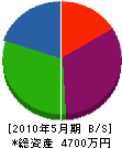 橋本組 貸借対照表 2010年5月期