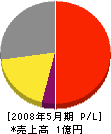 武漢 損益計算書 2008年5月期