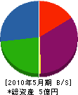 飯島石材 貸借対照表 2010年5月期