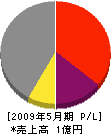 稲田組 損益計算書 2009年5月期