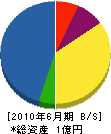 大阪安全工業 貸借対照表 2010年6月期