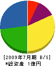 松本電機 貸借対照表 2009年7月期