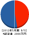 片山電工 貸借対照表 2012年5月期