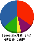 琉球ゴーレックス 貸借対照表 2008年9月期