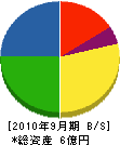 長崎日調 貸借対照表 2010年9月期