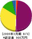 龍泉工業 貸借対照表 2008年3月期