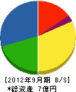 島根サニタリ 貸借対照表 2012年9月期