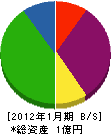 大石企画 貸借対照表 2012年1月期