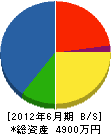 松葉建設 貸借対照表 2012年6月期