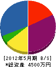 大川電機工業 貸借対照表 2012年5月期