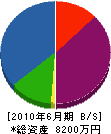 松樹園 貸借対照表 2010年6月期