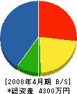 佐々木総合企画 貸借対照表 2008年4月期