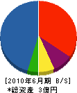 片岡設備 貸借対照表 2010年6月期