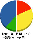平田組 貸借対照表 2010年6月期