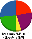 藤原電気工業 貸借対照表 2010年5月期