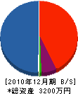 岩井設備 貸借対照表 2010年12月期