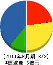 片岡組 貸借対照表 2011年6月期