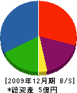 長島建設 貸借対照表 2009年12月期