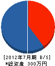 ナカシマ 貸借対照表 2012年7月期