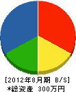 鈴木建設 貸借対照表 2012年8月期