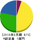 上枝工務店 貸借対照表 2010年6月期
